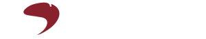 seminsa-logo-white-stroke